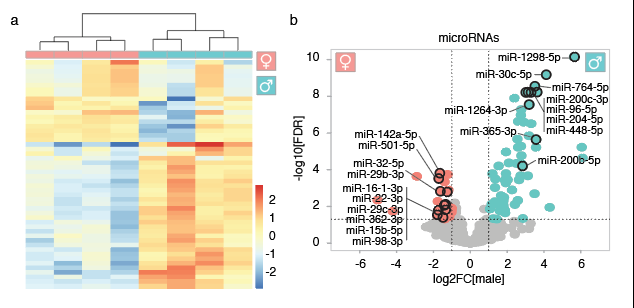 From: Microglial microRNAs mediate sex-specific responses to tau pathology