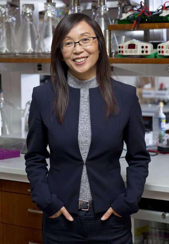 Dr. Li Gan: Director of the Helen and Robert Appel Alzheimer’s Disease Research Institute and the Burton P. and Judith B. Resnick Distinguished Professor in Neurodegenerative Diseases at Weill Cornell Medicine.